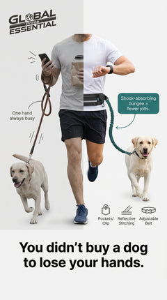 Hands-free dog leash by Global Prime Essential, adjustable leash for comfortable hands-free walking with your dog.