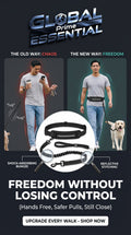 Hands free dog leash by Global Prime Essential shown in use, allowing comfortable, hands-free walking for pet owners.