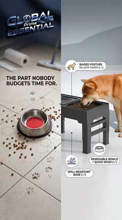 Elevated Mess-Free Dog Bowl